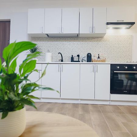 Apartament Subcetate Sighișoara Zewnętrze zdjęcie