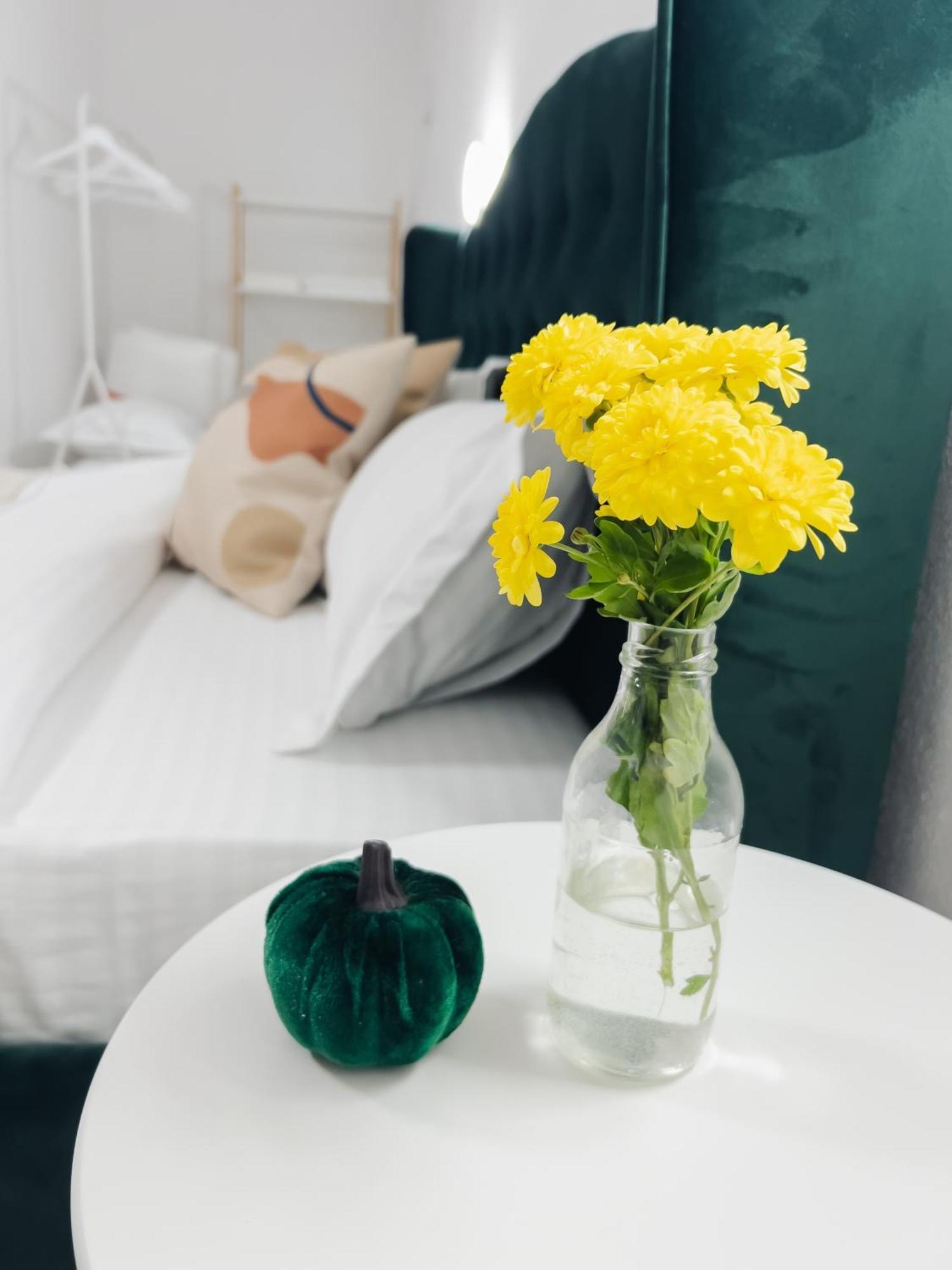 Apartament Subcetate Sighișoara Zewnętrze zdjęcie